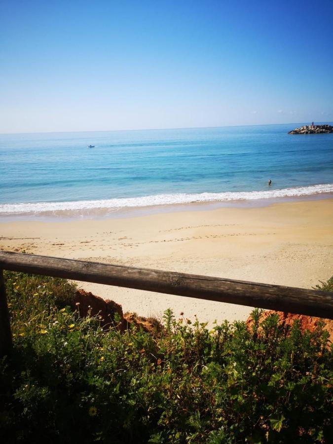 Mirador De Trafalgar Conil โกนิล เด ลาฟรอนเตรา ภายนอก รูปภาพ