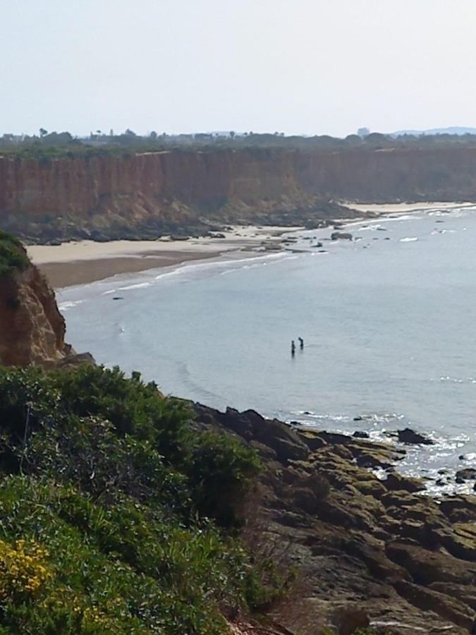 Mirador De Trafalgar Conil โกนิล เด ลาฟรอนเตรา ภายนอก รูปภาพ